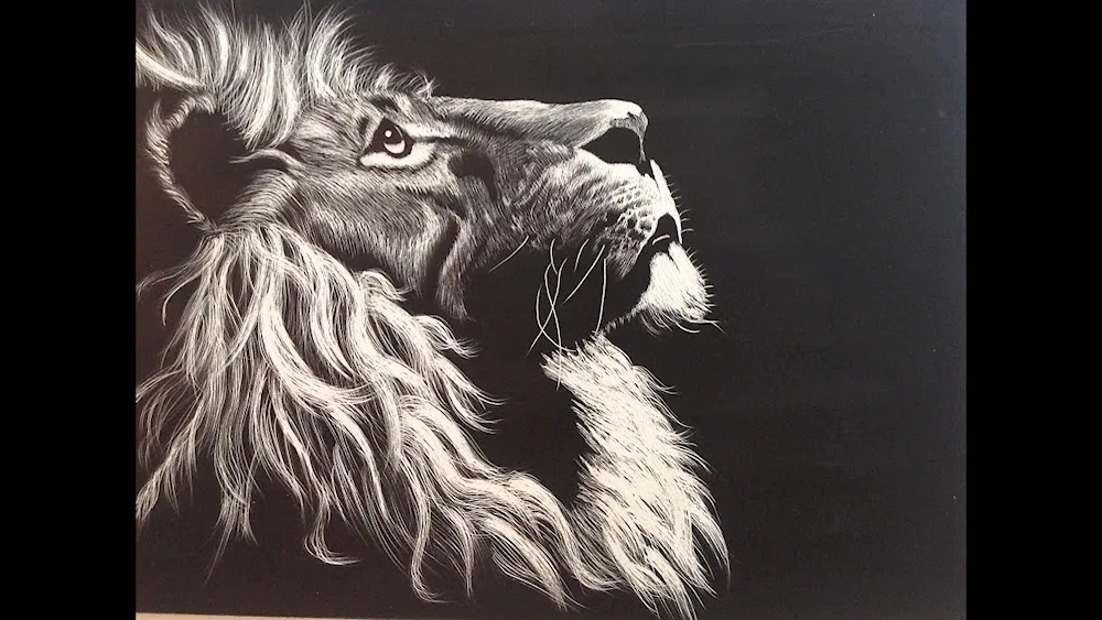 Drawings on black background