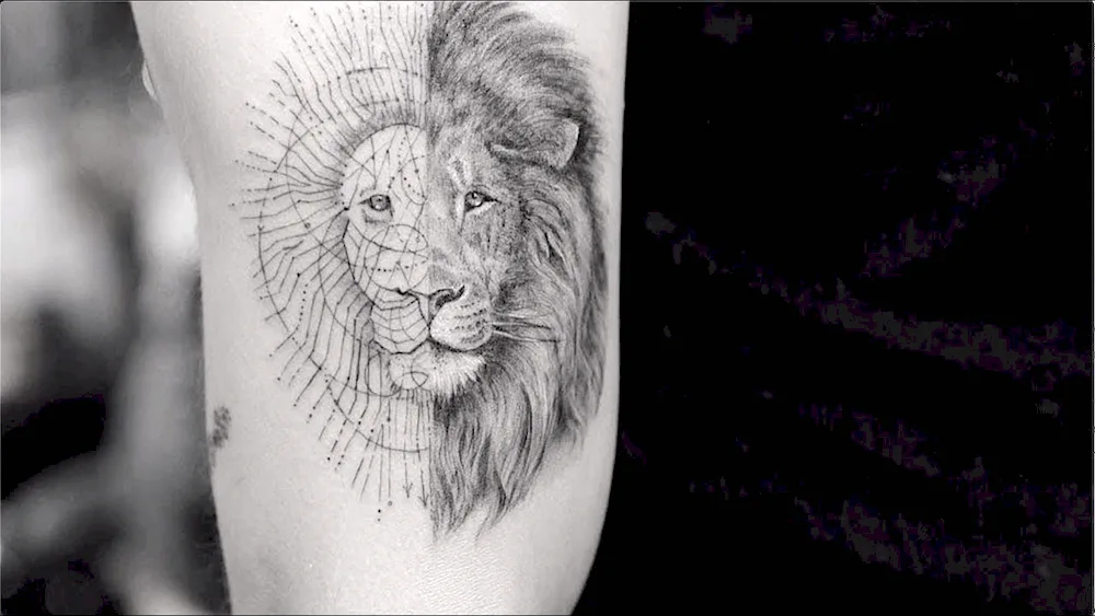 Lion linework