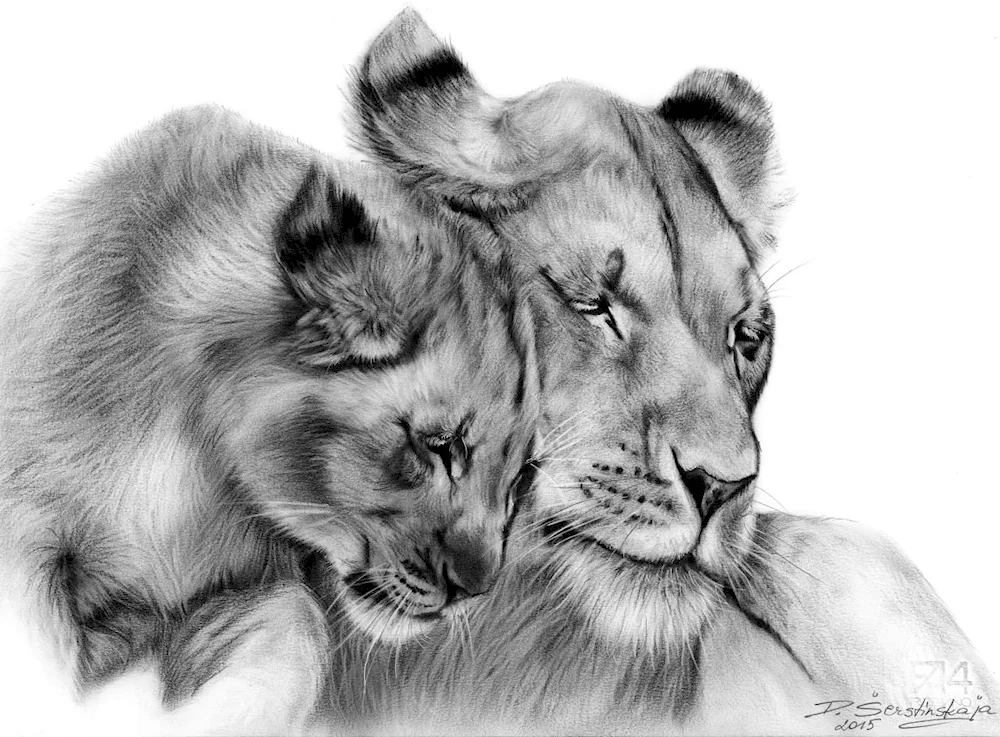 Lion lion and lion cub tattoo Pride Lviv