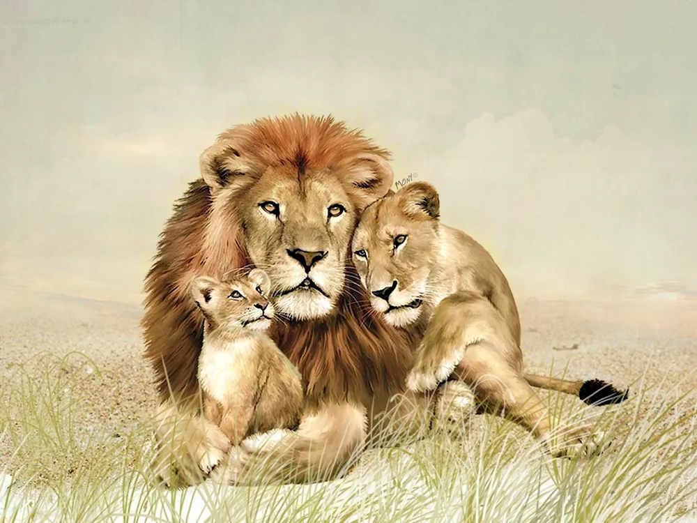 Lion lioness and lion cub family