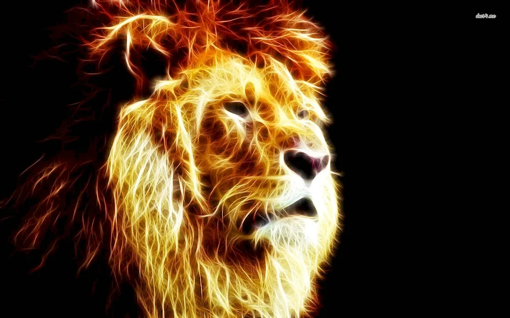 Fiery Lion