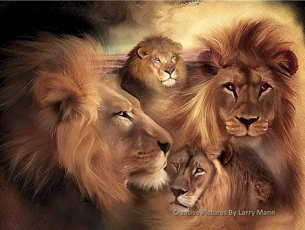 Lion