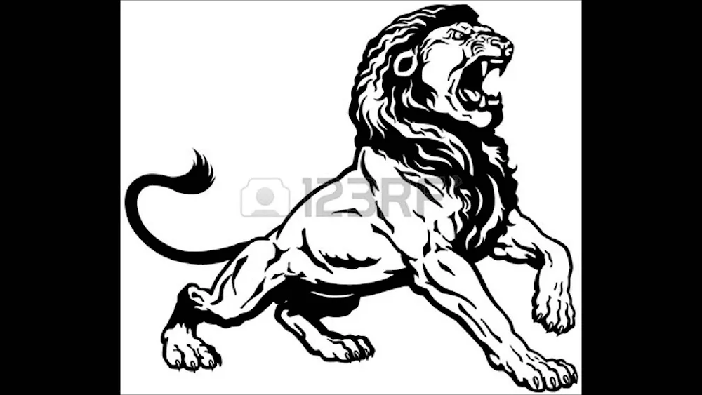 Lion vector graphics