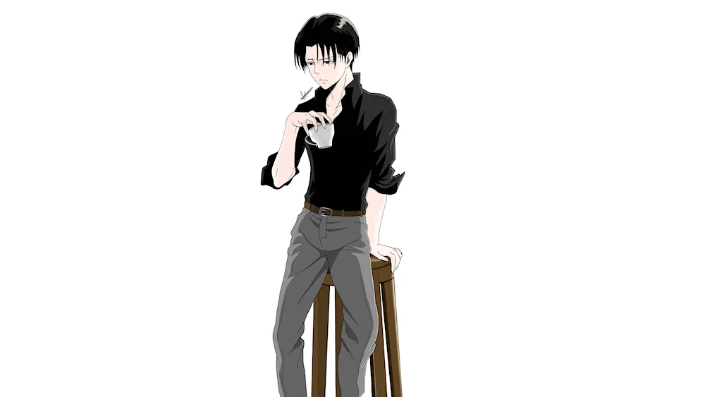 Levi on a full-length white background