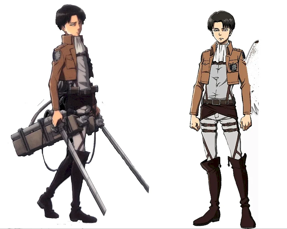 Levi full size