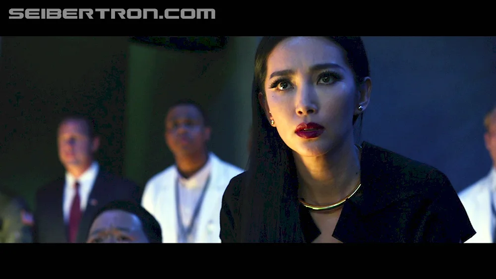 Li Bingbing Transformers 4