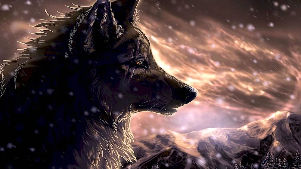 Wolf wallpaper