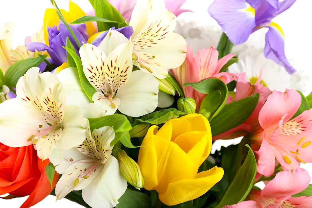 Lilies alstromeria and irises bouquet