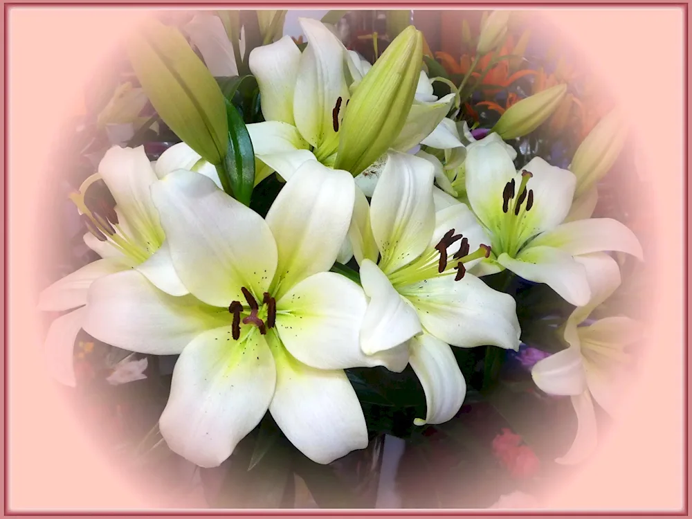 Royal lily bouquet