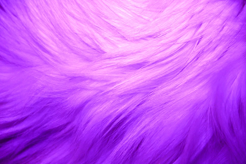 Raspberry hair