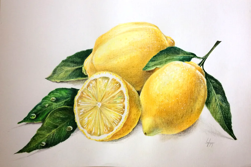 Lemon watercolour