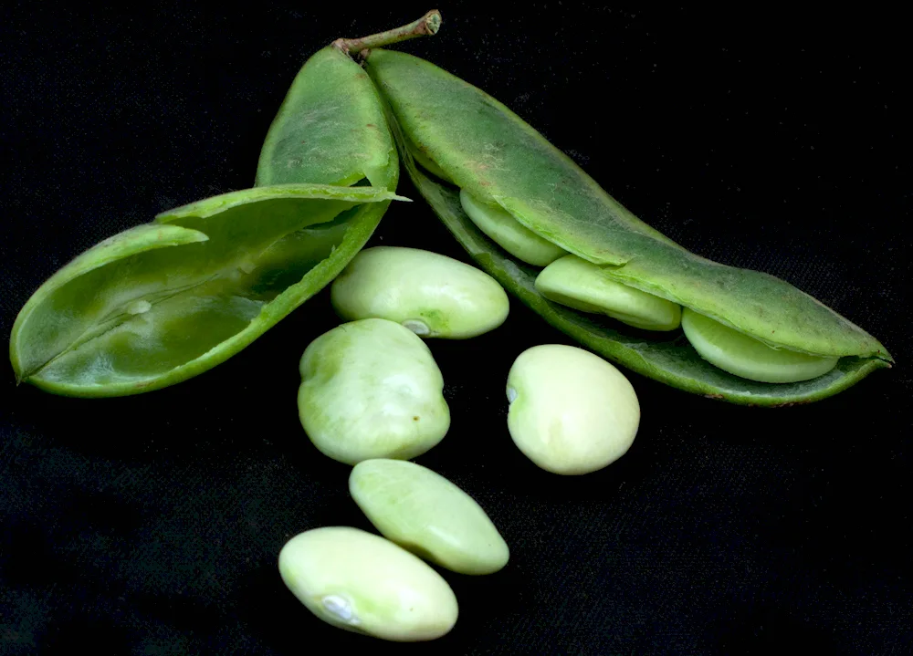 The pea pod fruit