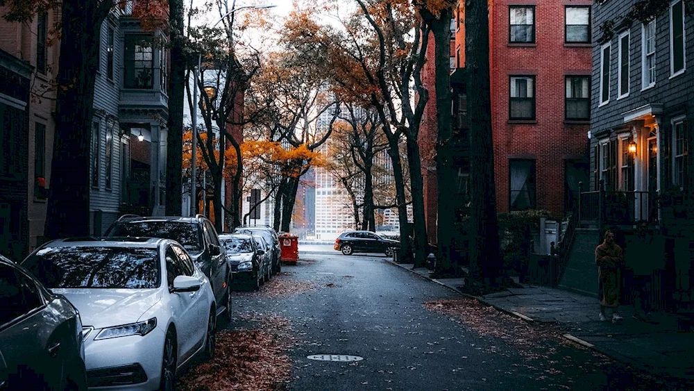 Linden suburb of New York