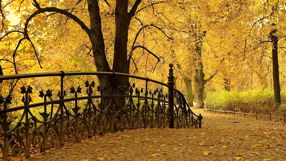 Autumn Park