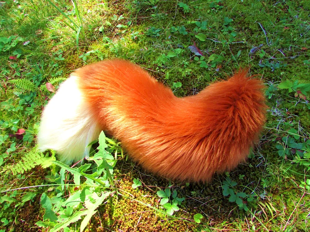 Kitsune girl foxy red