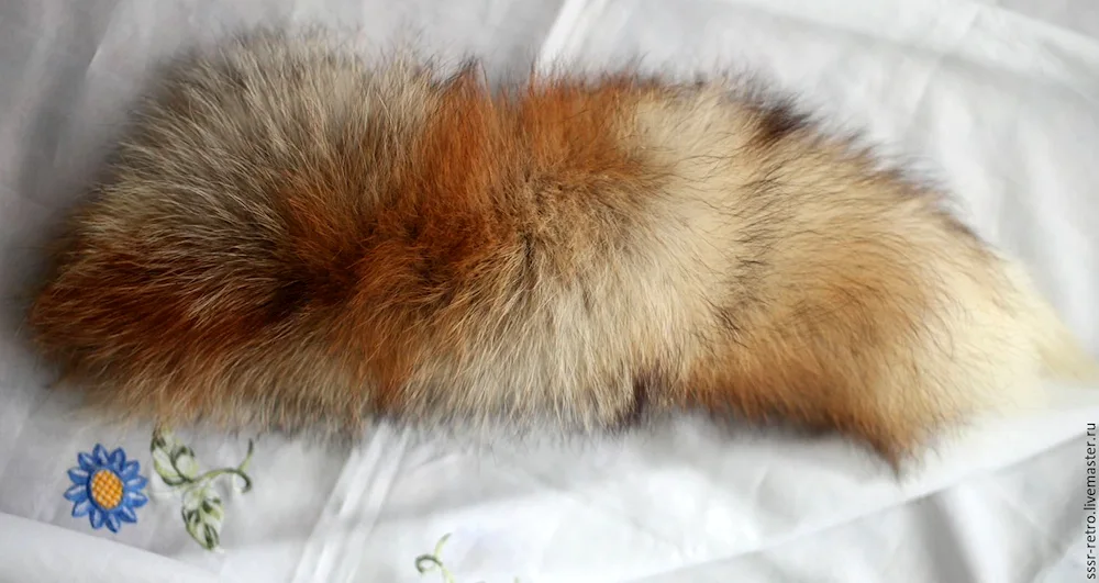 Fox tail