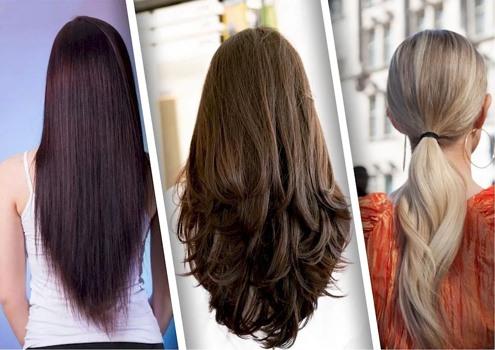 Lox ponytail