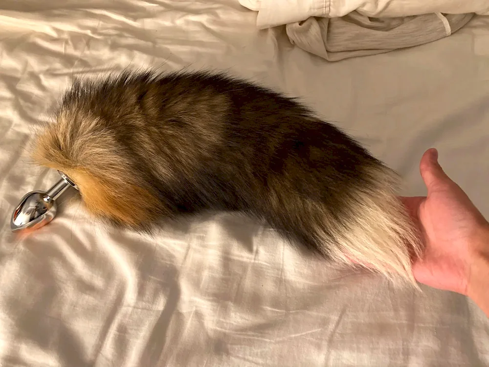 Fox Tail Demetrius