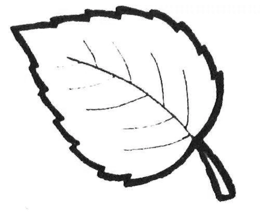 Leaf stencil for cutting out