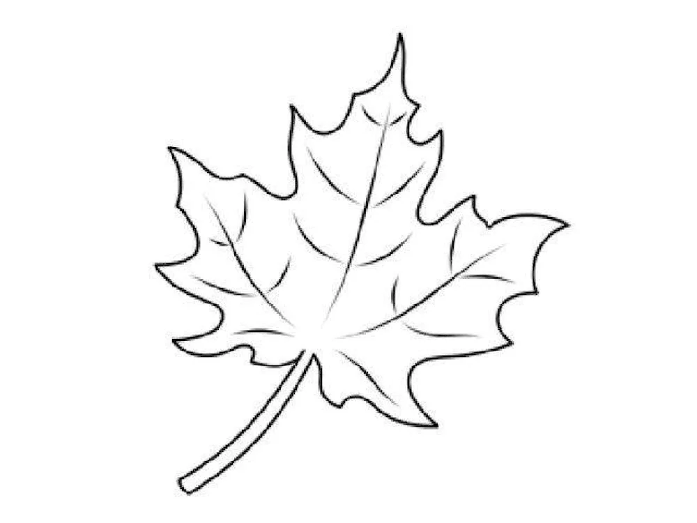 Maple leaf stencil