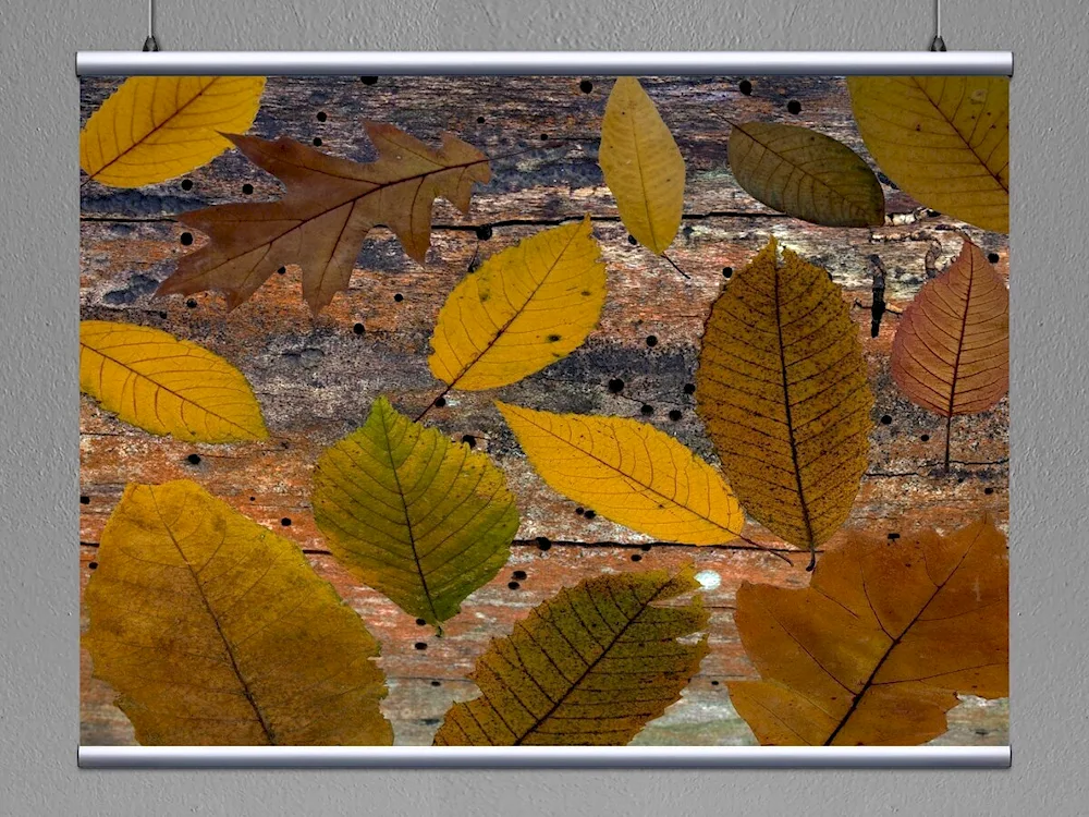 Tree leaves