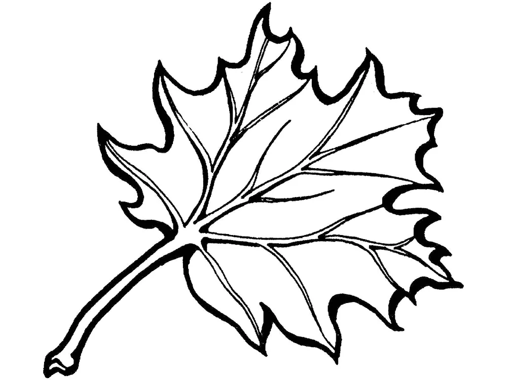 Leaf stencil