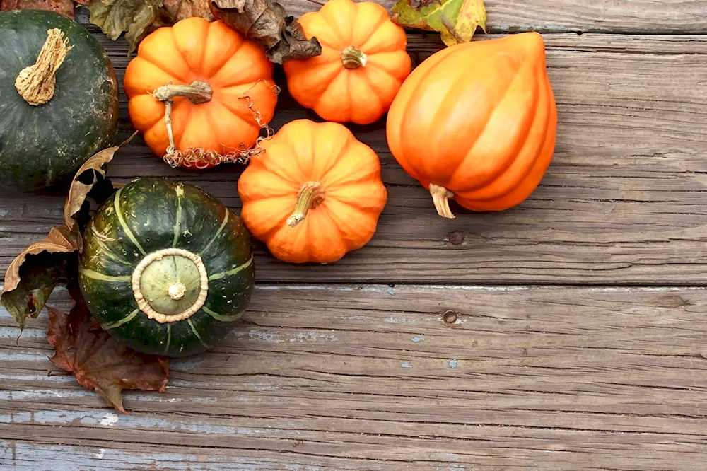 Pumpkin