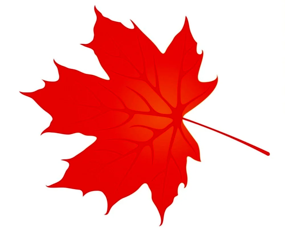 Maple Leaf paper