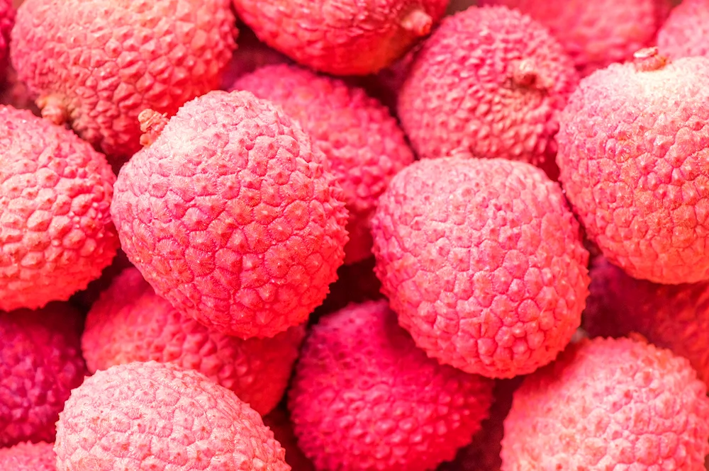 Litchi berry