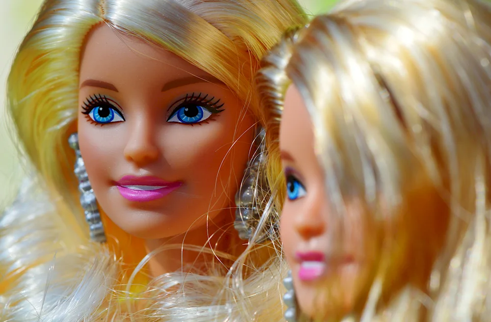 Barbie doll hairstylesLifecycles for Barbie dolls. Hair
