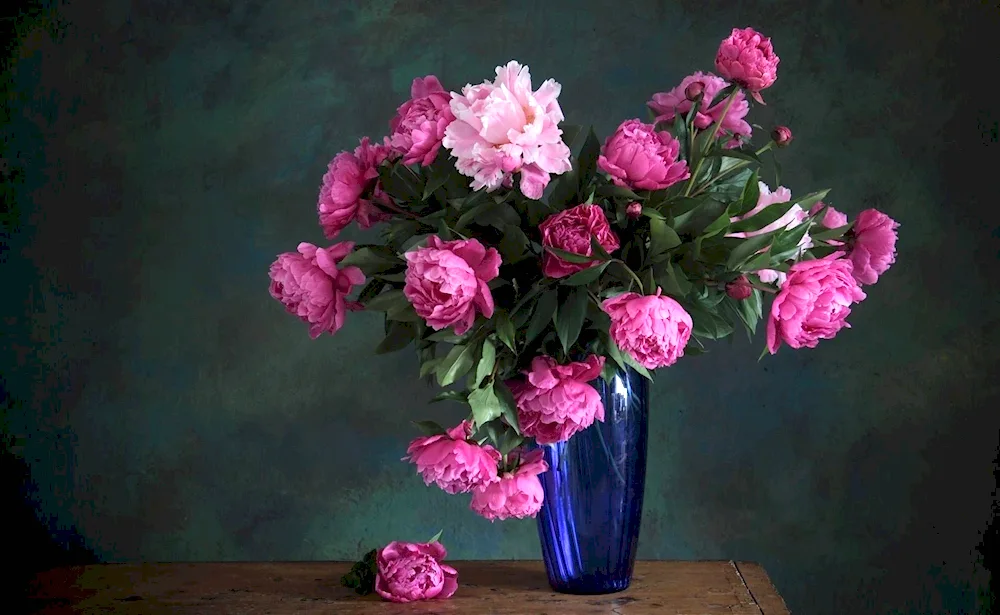 Peonies of Zbigniew Kopania