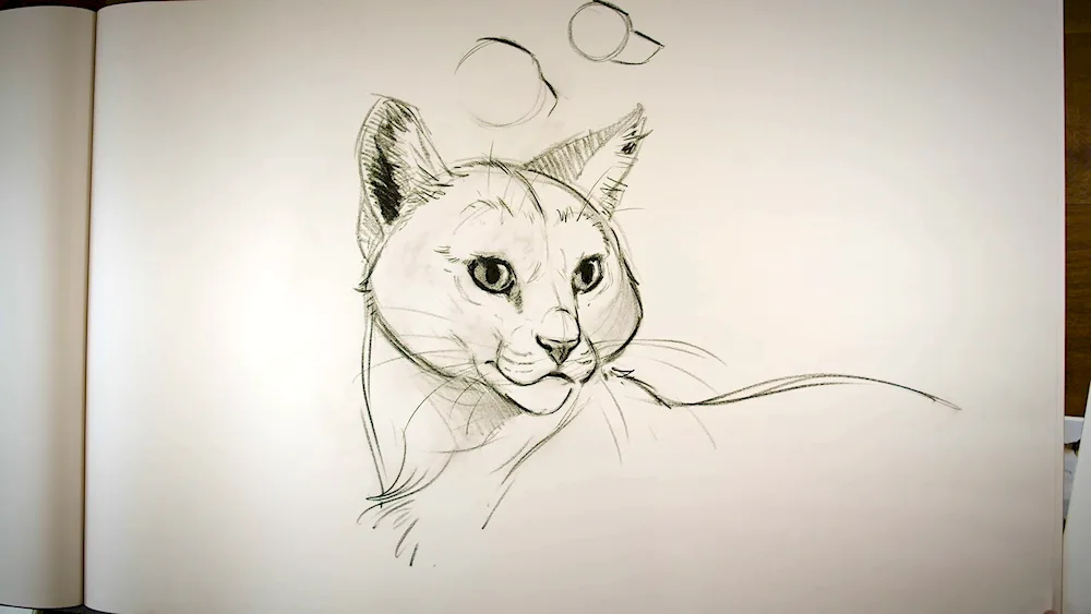 Simple pencil drawings for drawing