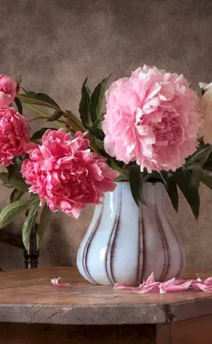 Lyudmila Kostyuchenko Photography still life with peonies