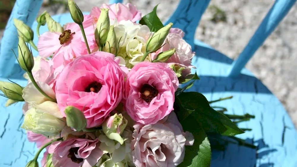 Eustoma flowers