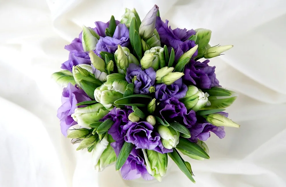 Eustoma lisianthus