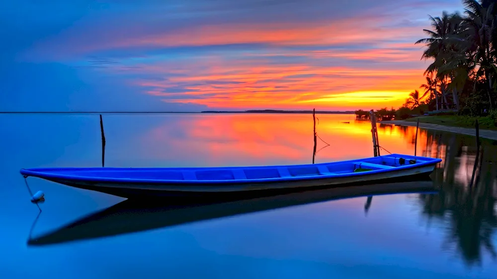 Boat at the ocean