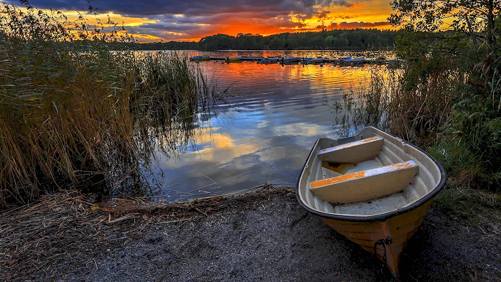 Boat on the lake