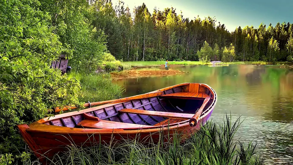 Boat on the river