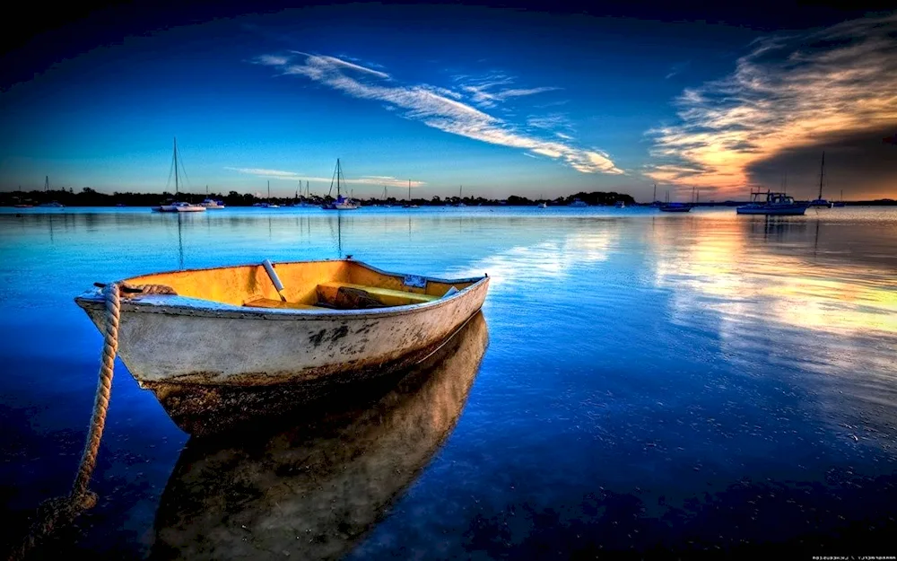 Boat on the water