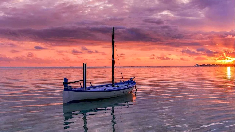 Boat in the sea