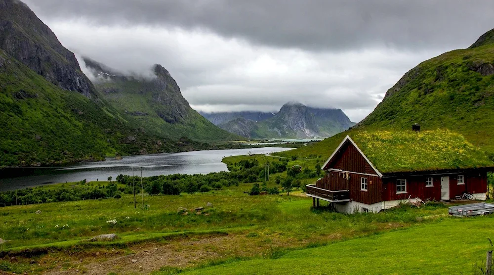 Viking village art