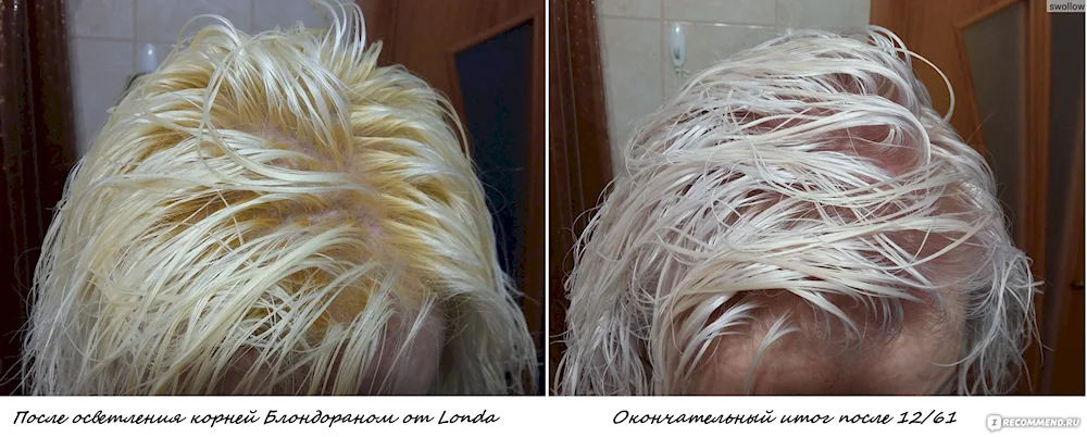 Londa 1261