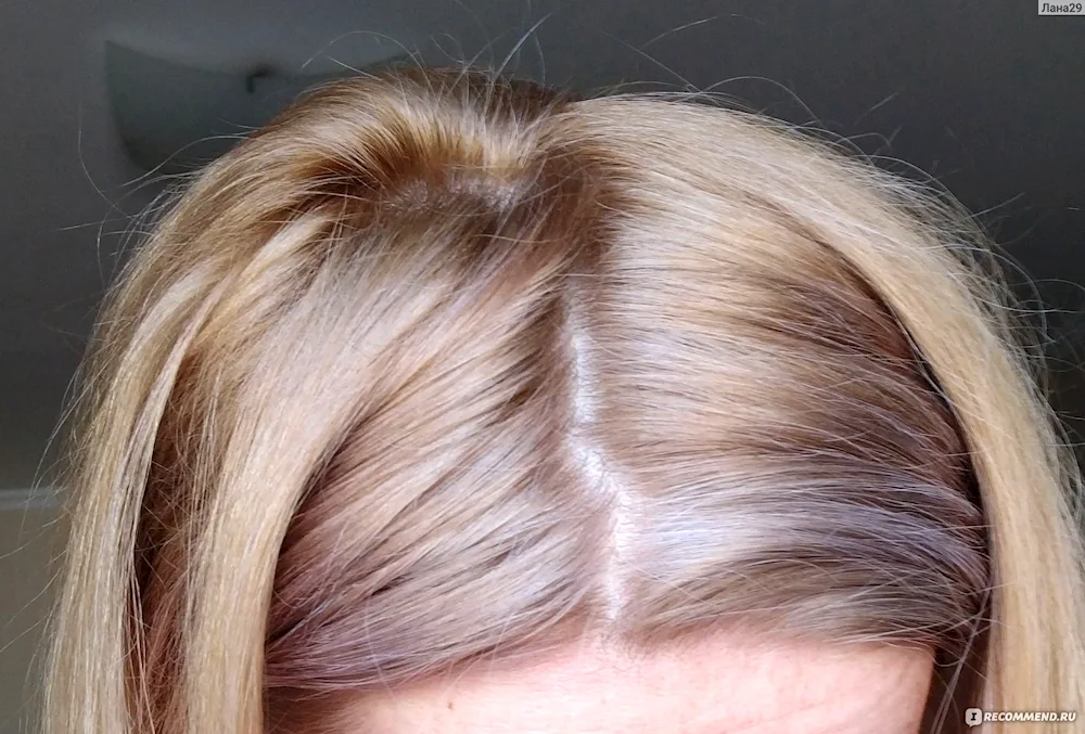 Londa ashy blonde