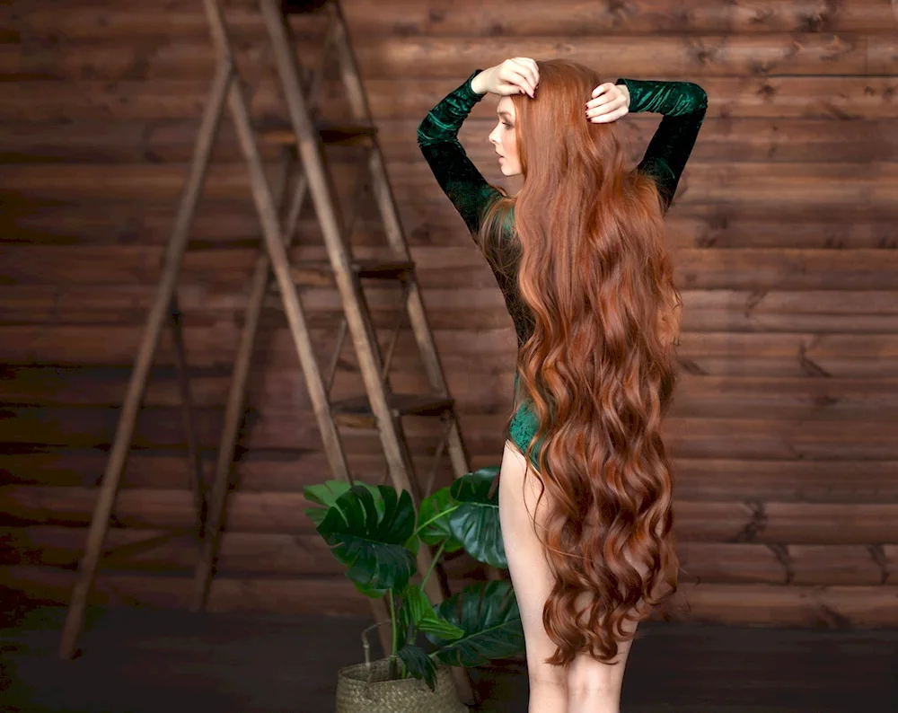 Long Hair Rapunzel