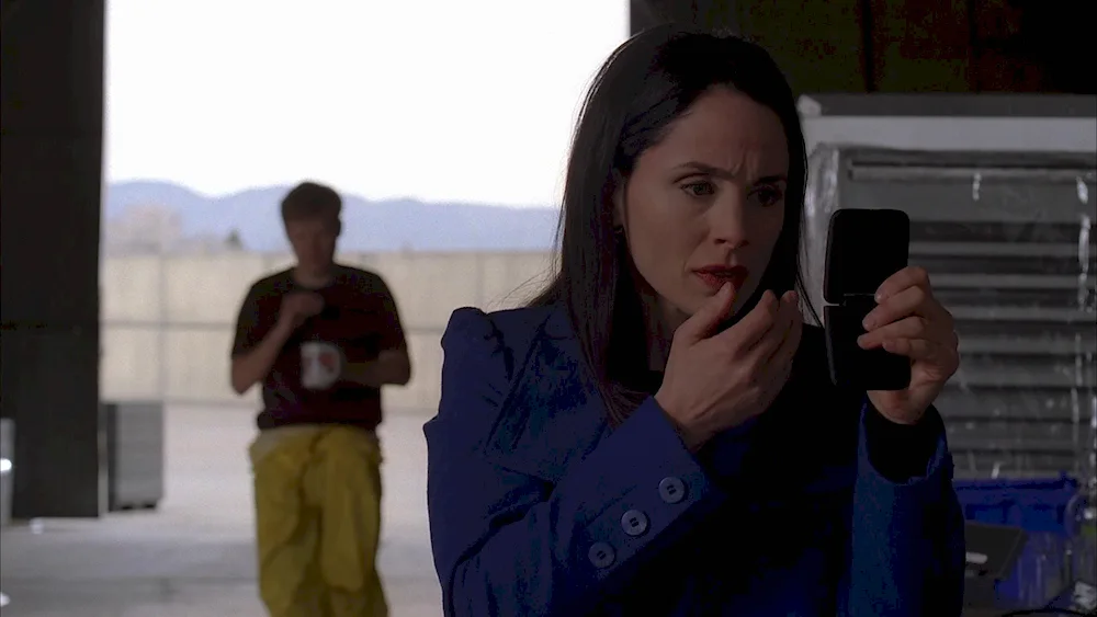 Laura Fraser Breaking Bad