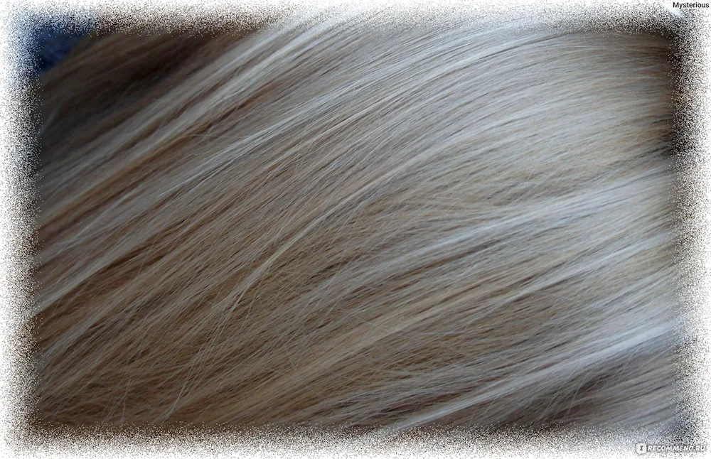 Loreal 10. 21