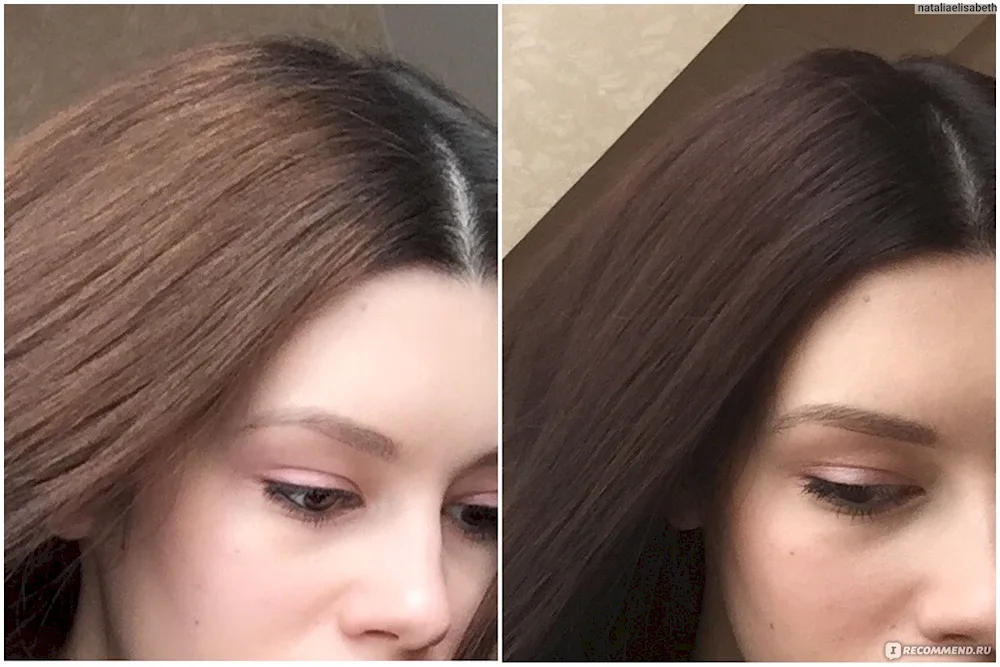 Loreal 415 Frosted Chestnut
