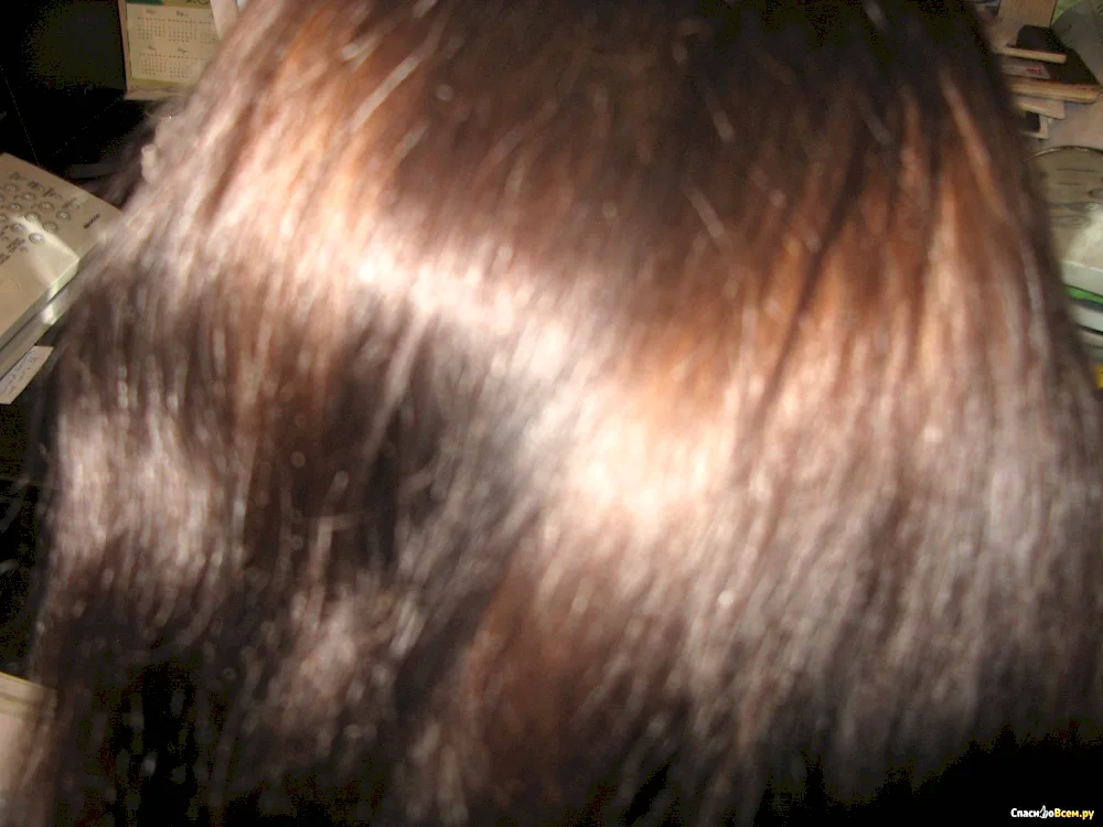 Loreal 513 Frosty Cappuccino