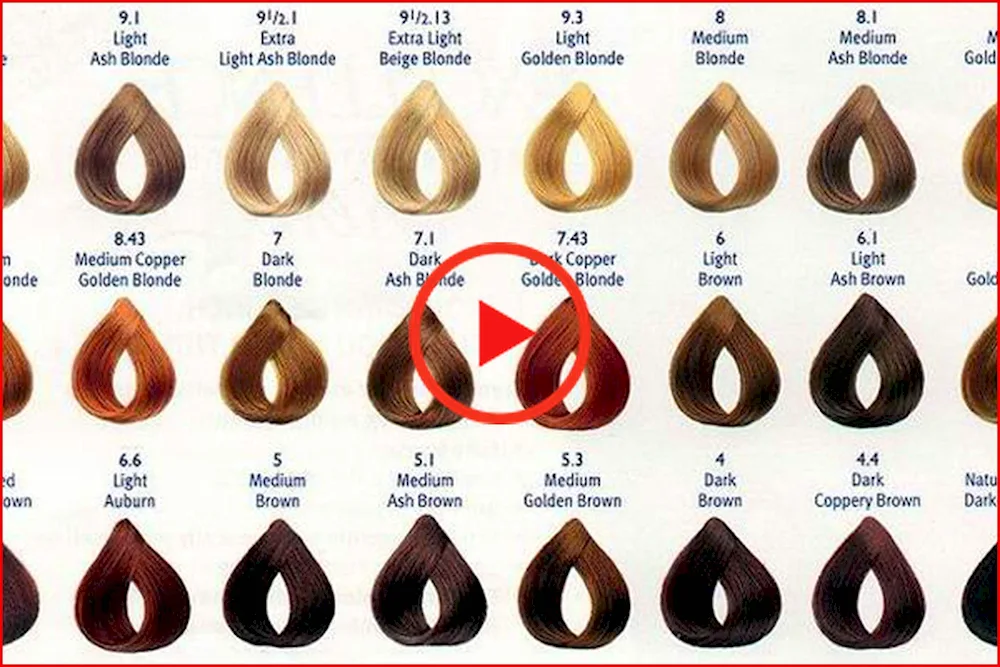 Loreal hair dye Excellence colour palette