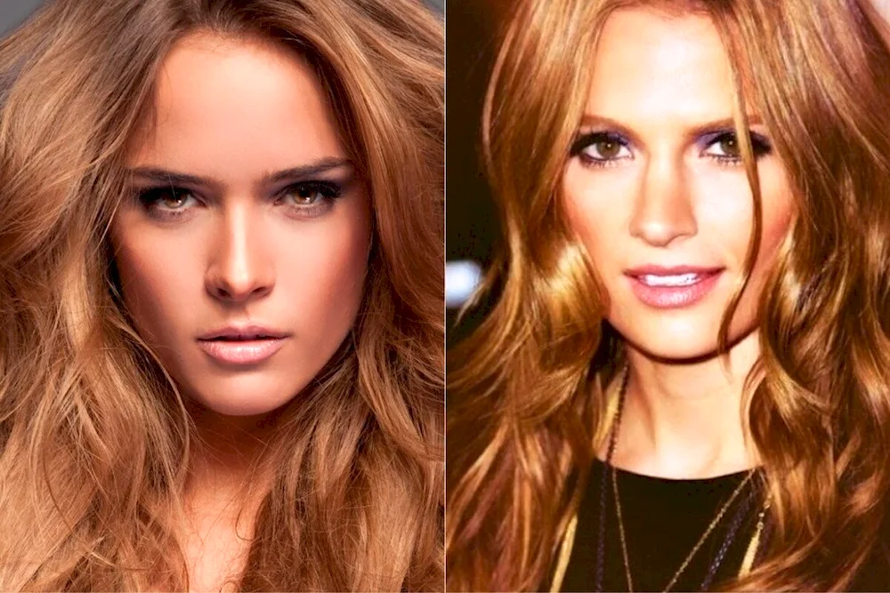 Loreal honey blond